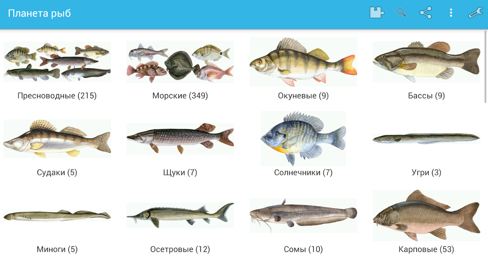 Рыба в реке Волга список
