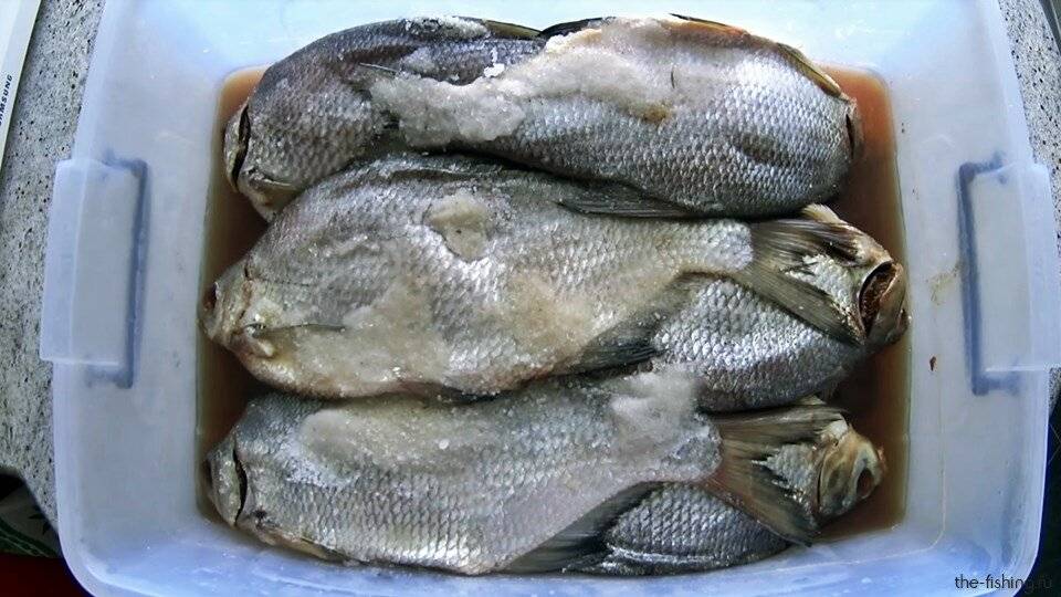 Рыба соленая (108 рецептов с фото) - рецепты с фотографиями на поварёнок.ру