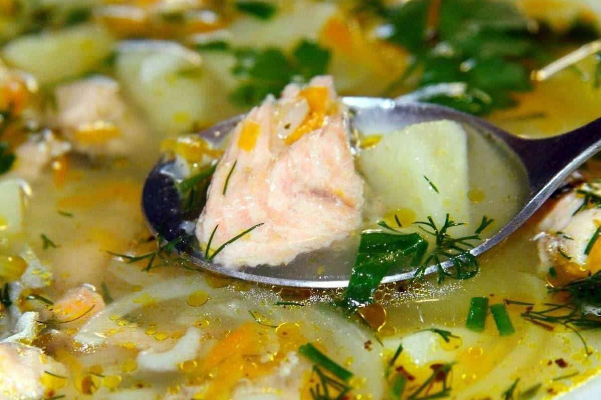 Рыбный суп - как приготовить из свежей, консервированной или замороженной по рецептам с фото