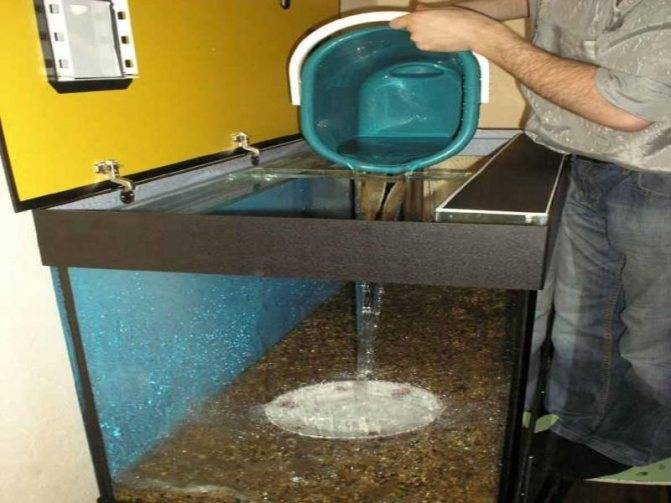 Отвечаем на вопрос — можно ли заливать бутилированную воду в аквариум?