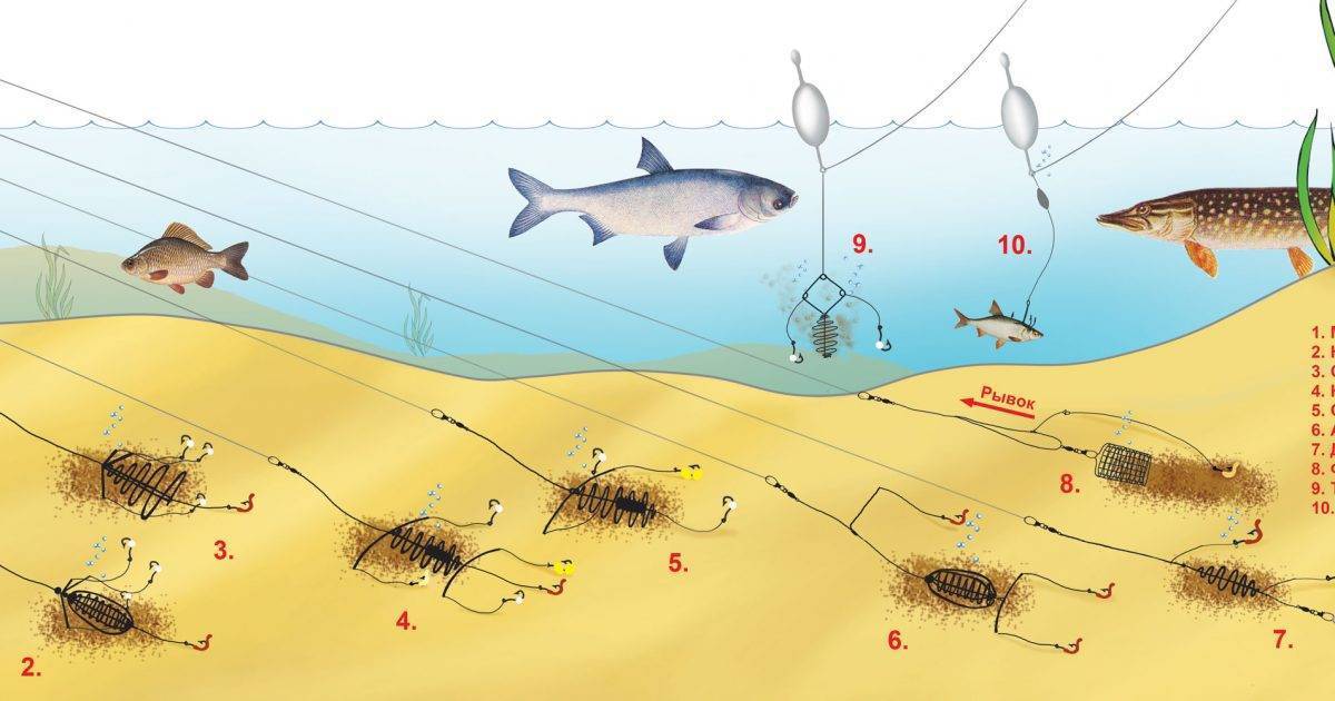 Как приготовить снасть для карася и карпа