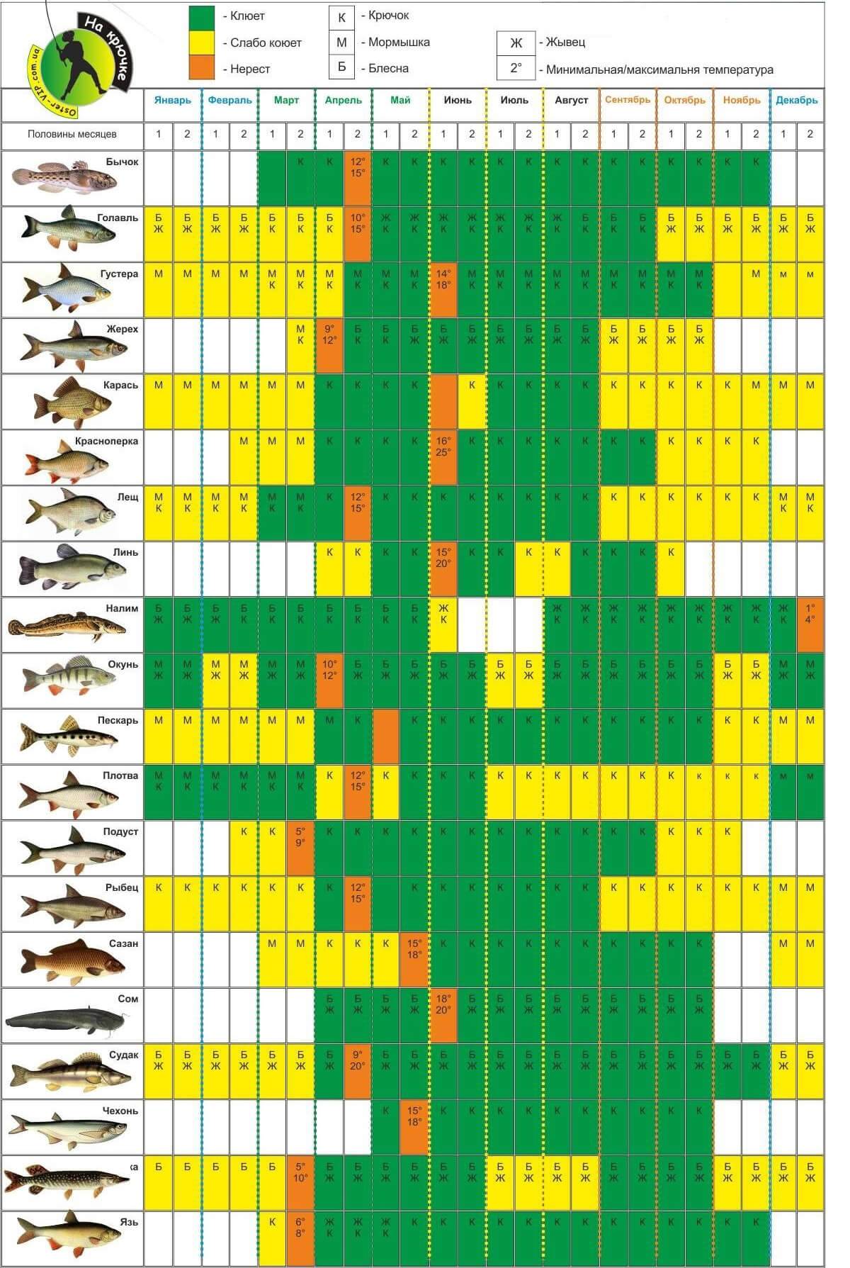 Лунный календарь клева хищной рыбы 2020