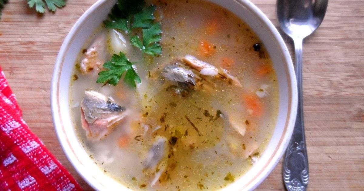 Супы из горбуши — проверенные рецепты. как правильно и вкусно приготовить суп из горбуши.