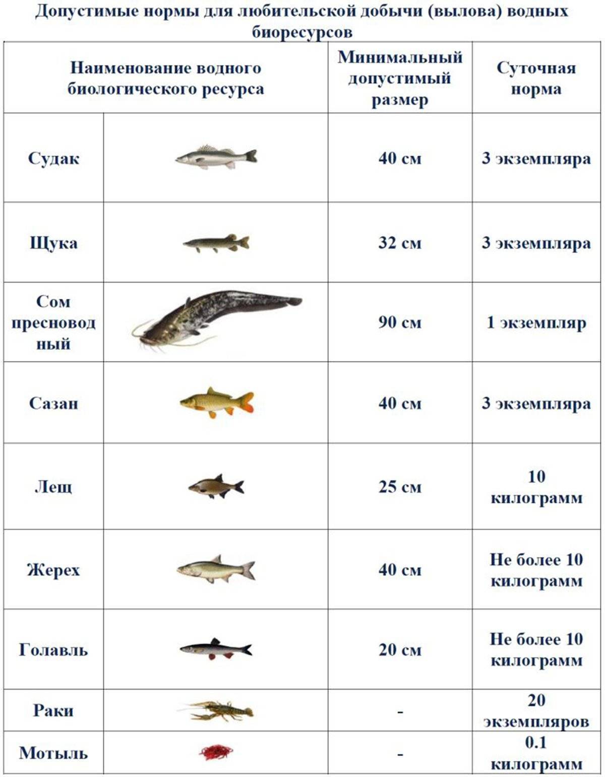 Правила рыболовства в московской области 2019 с изменениями