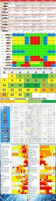 Календарь рыболова. Лунный календарь рыбака. Рыболовный календарь 2020 года. Лунный календарь рыболова на 2021 год.