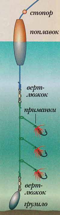 Рыбалка на хариуса в красноярске: ловля в разное время года, места