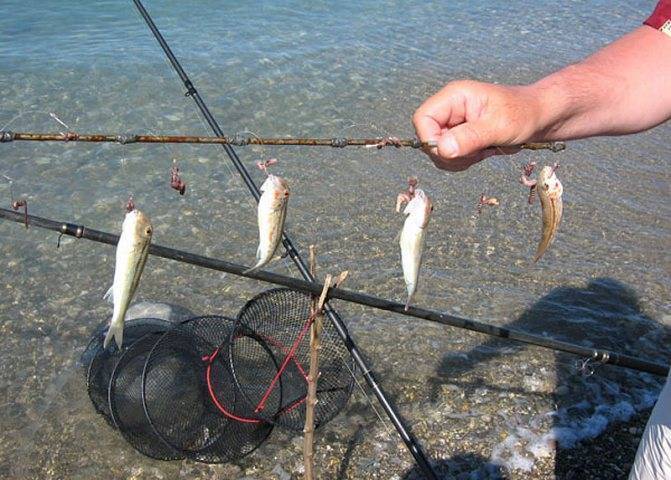 Рыбалка на Черном море с берега – практические советы