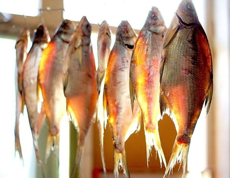 Способы хранения сушеной и вяленой рыбы