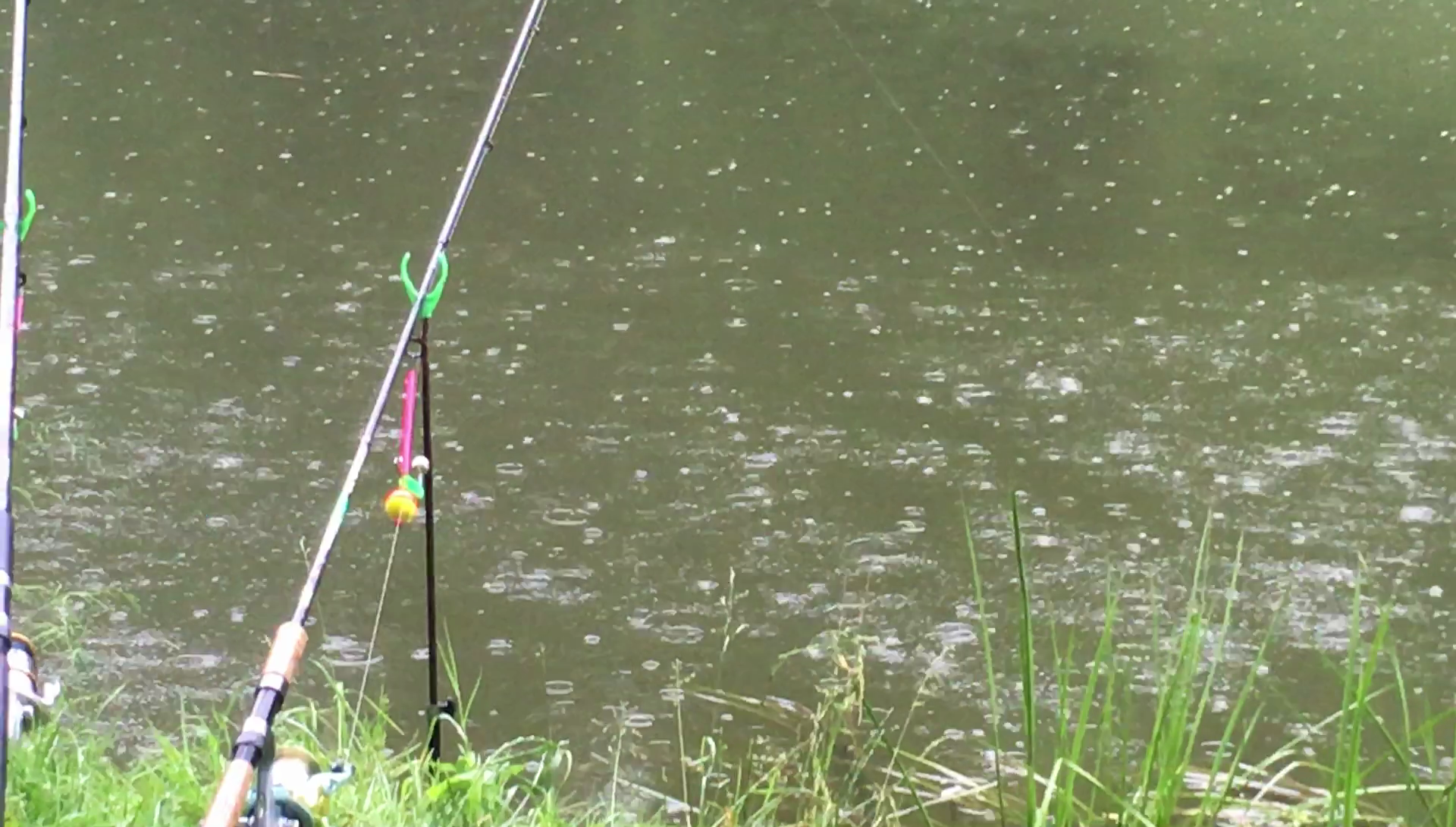 Мокрая рыбалка в дождь или несколько советов о времяпровождении на водоёме.