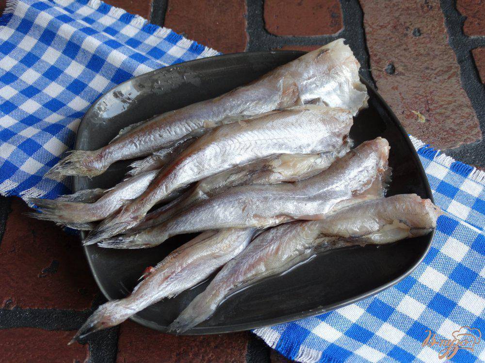 Рыба путассу: характеристика, польза и вред, рецепты приготовления