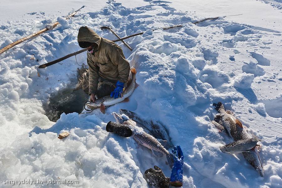 Рыбалка на севере: в какой заполярный регион поехать на отдых, выбор подходящего места для ловли рыбы