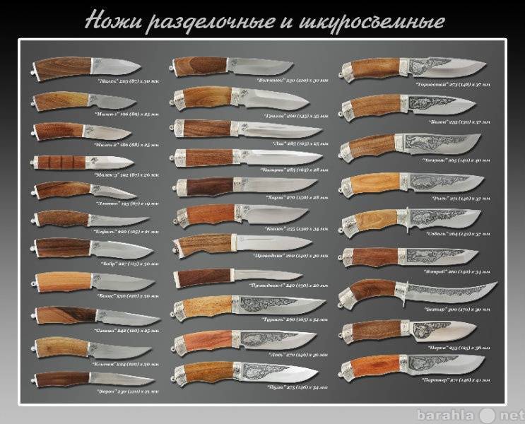 Виды ножевых. Формы лезвий ножей. Формы охотничьих ножей. Форма клинка ножа. Форма лезвия ножа для охоты.