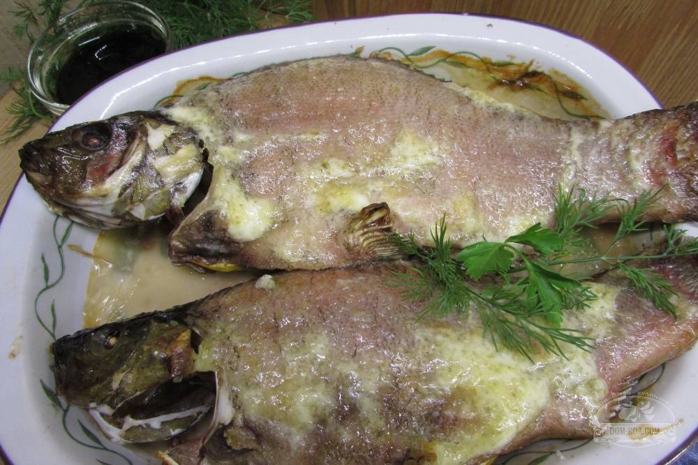 ᐉ линь в фольге - рыбные рецепты - ✅ ribalka-snasti.ru