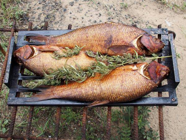 Копченый карп в домашних условиях: рецепты горячего и холодного методов