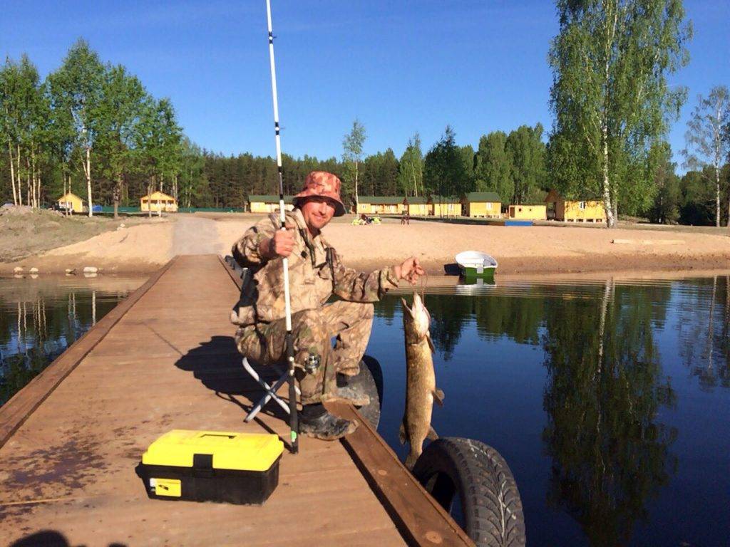 15 лучших рыболовных мест ленинградской области – рыбалке.нет