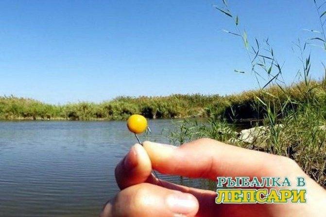 Рыбалка на реке у плетня — тактика и техника ловли
