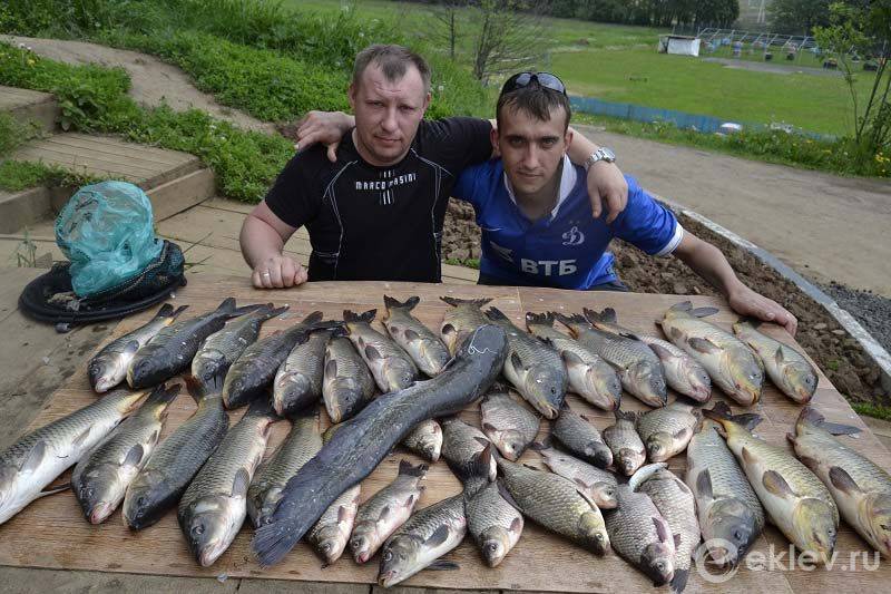 Бесплатная рыбалка в подмосковье - куда поехать? бесплатные водоемы в подмосковье :: syl.ru