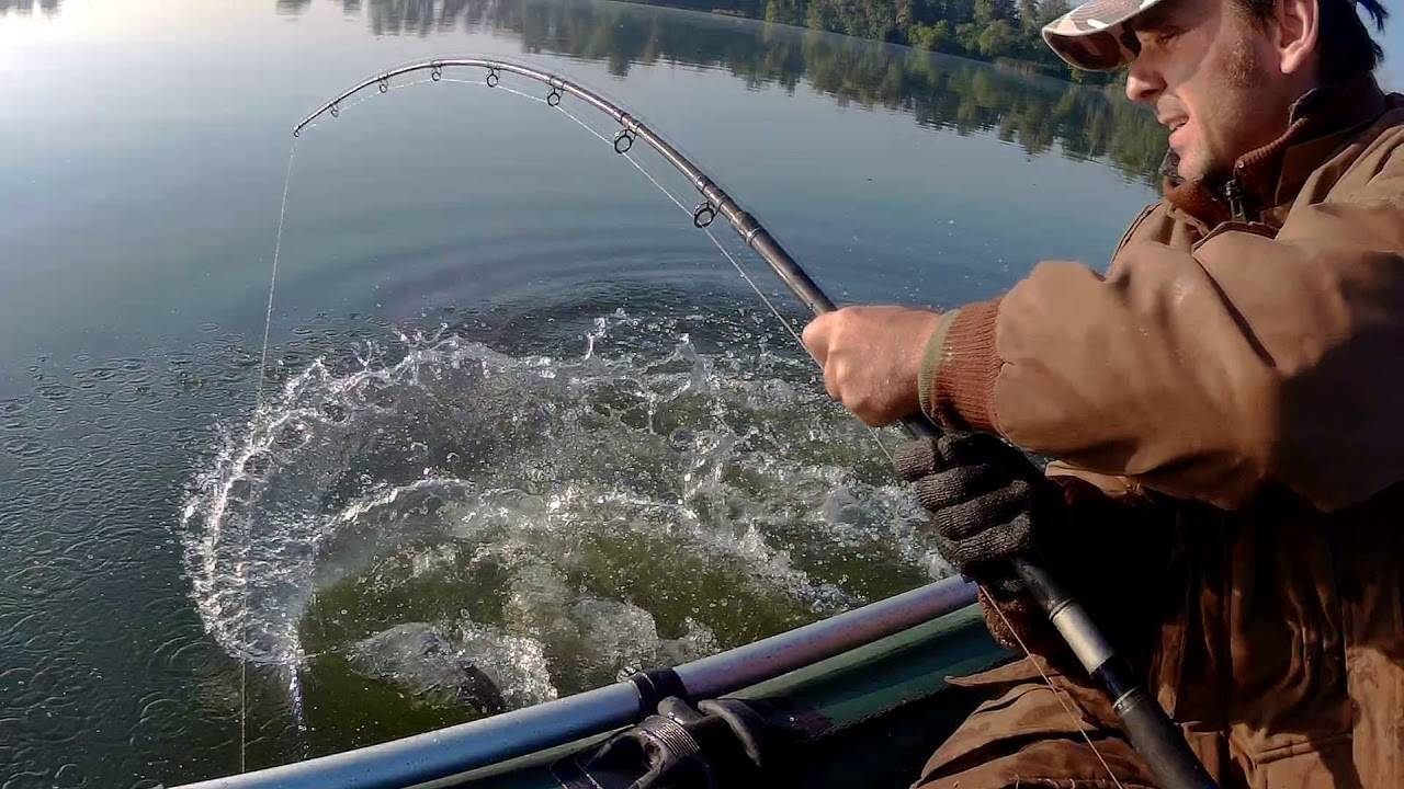 Как правильно подсекать рыбу - техники и нюансов правильной подсечки