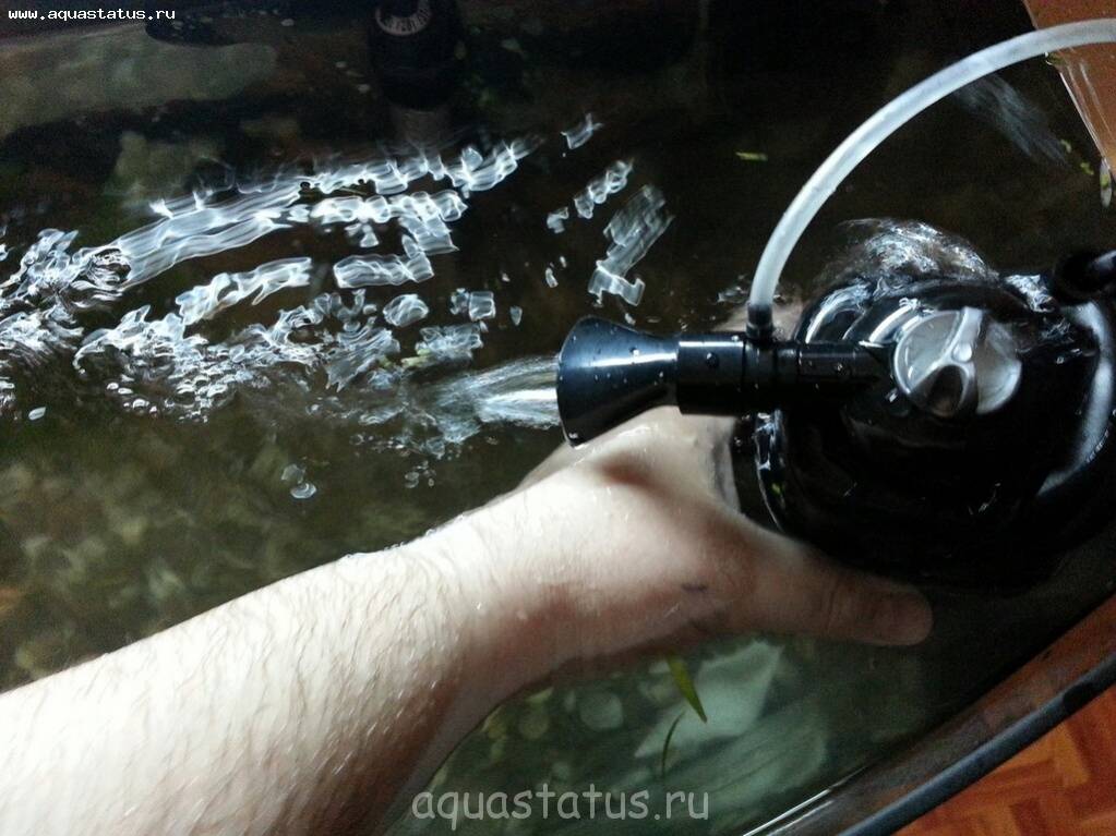 Как произвести очистку фильтра в аквариуме?