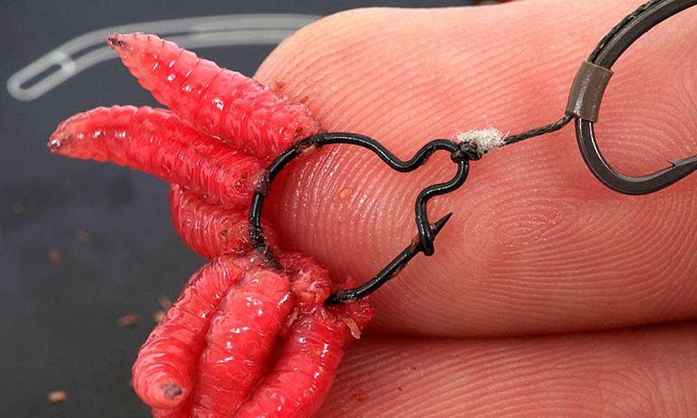 Наживка это. Maggot Rig оснастка. Клипсы для опарышей korda Maggot klip Extra small. Клипсы для опарыша Maggot clip Axis AX-84701-51. Клипса для опарыша.