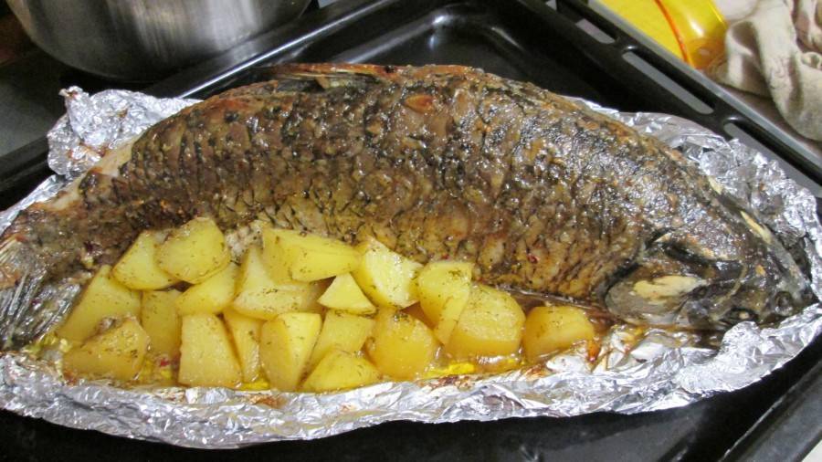 Карп, запеченный в духовке: как вкусно приготовить рыбу