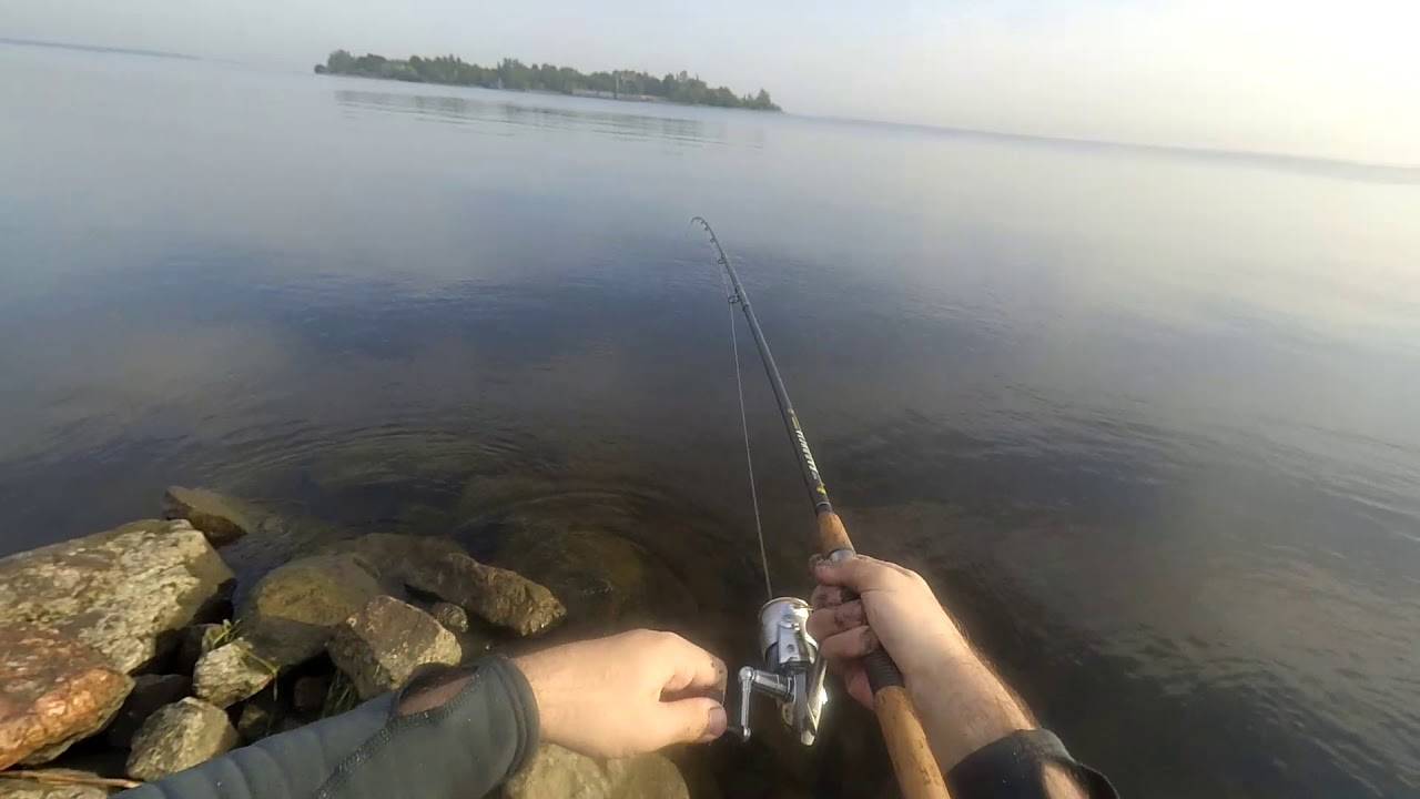 Рыбалка в Витязево