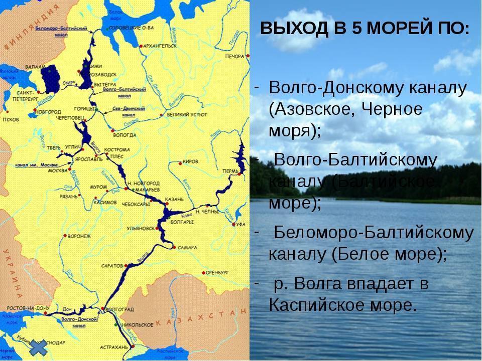 Какой город начинается г. Река Волга на географической карте России. Бассейн Волги на карте. Каналы рек России. Реки протекающие по территории Поволжья.