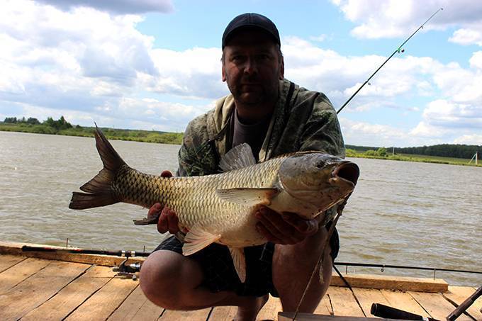 Рыбалка в егорьевске — особенности ловли в рыбхозах егорьевского района, какая рыба водится