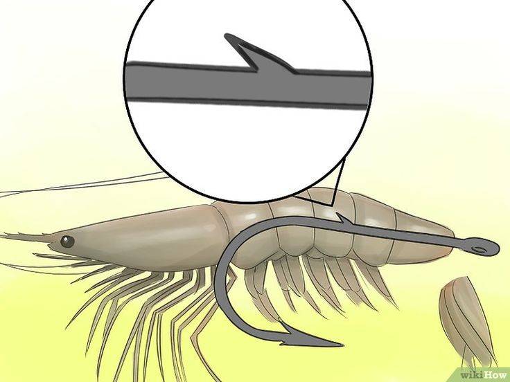 Как насадить червя на крючок для рыбалки на леща