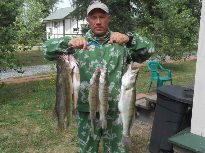Что и как ловить на селигере - рыбалка в россии и по всему миру - fishers-spb.ru