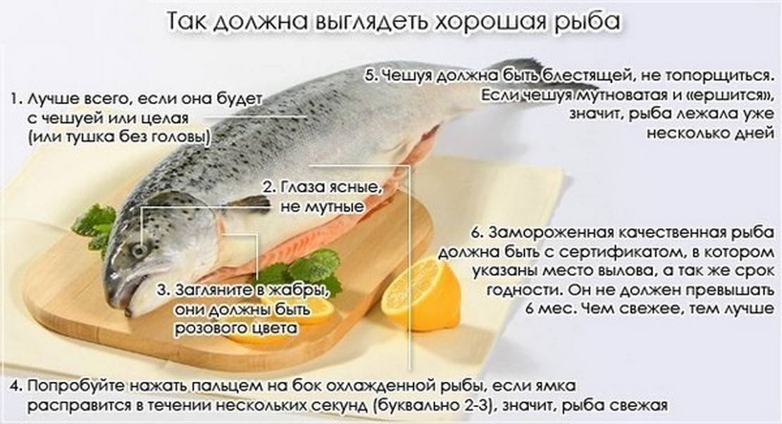 Рыба для похудения - список нежирных и полезных сортов