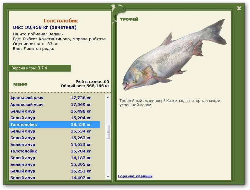 Размеры рыб на озере. Русская рыбалка 3 Вуокса синец. Толстолобик рыба максимальный вес. Рыба толстолобик калорийность. Толстолобик Размеры.