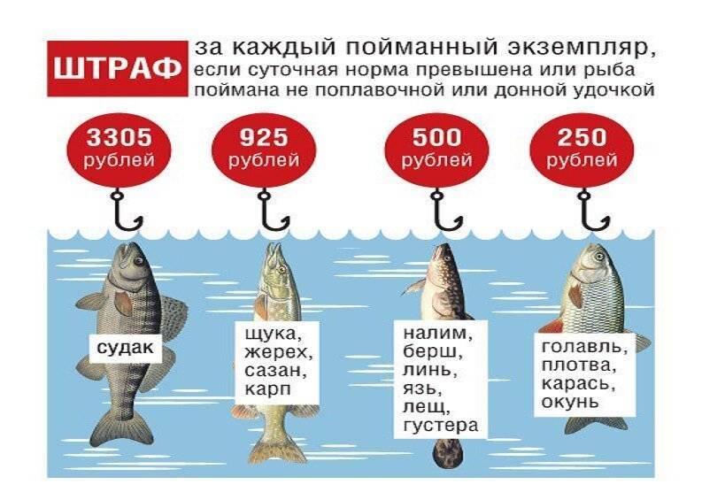 Штрафы за рыбалку 2020 от 2 до 5 тысяч рублей — должен знать каждый рыбак