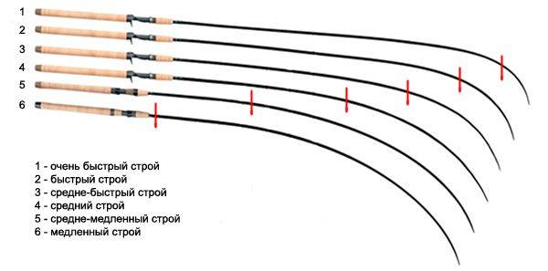 Спиннинг: подробный обзор, удилище, катушка, леска, приманка