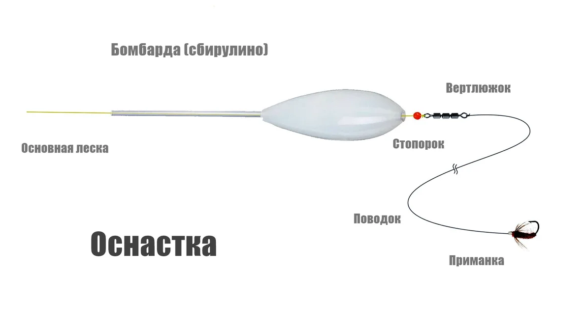 Ловля кефали: приманки, ареал обитания и способы ловли рыбы