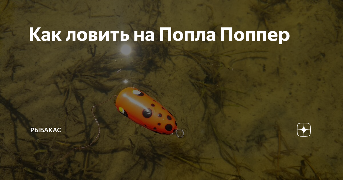 Попперы на щуку: как выбрать, как ловить, какие самые уловистые. топ-5 лучших попперов на щуку, рейтинг с фото