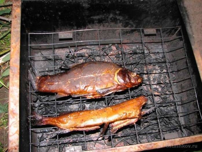 Как закоптить рыбу в коптильне горячего копчения