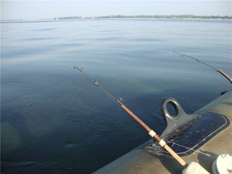 Снасти для рыбалки на леща, оборудование и особенности лова
