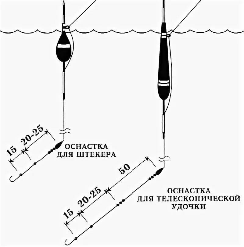 Ловля на болонскую удочку: оснастка, тактика, техника ловли