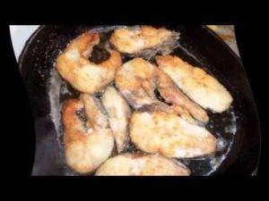 Рыба сом в рецептах пирога, шашлыка, котлет, первых и вторых блюд