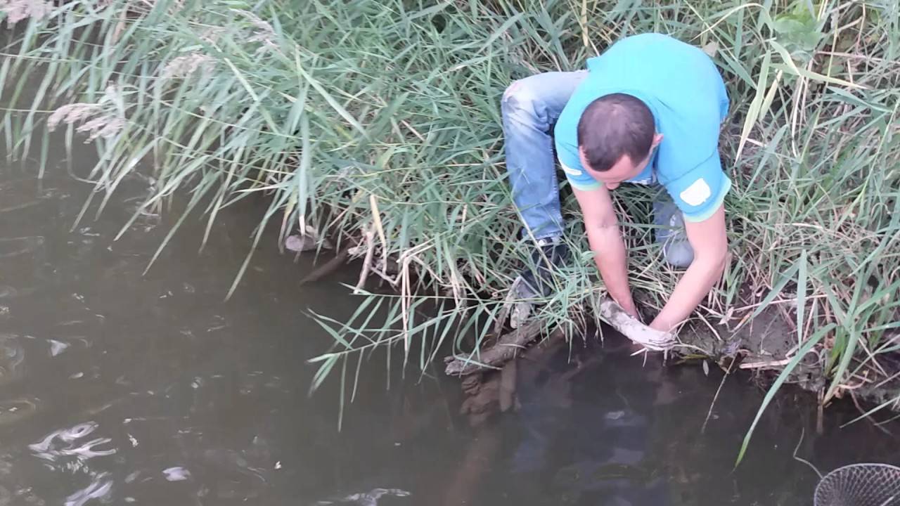 Можно и проще ловить раков в реке