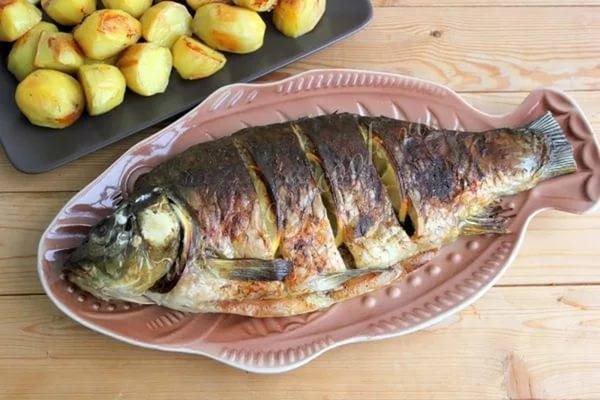Карп: полезные свойства и химический состав | food and health