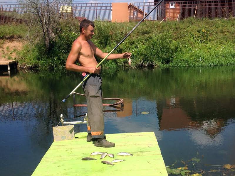 База отдыха «царская рыбалка» в кипени: какая рыба водится, услуги, особенности ловли