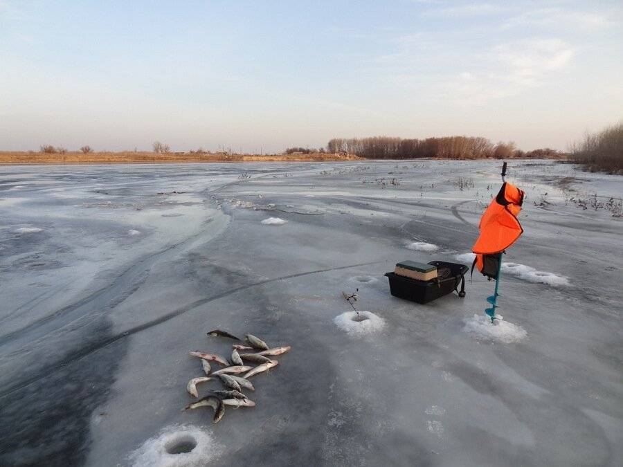 Ловля белой рыбы зимой в палатке рыбалка зимой способы снасти видео фото