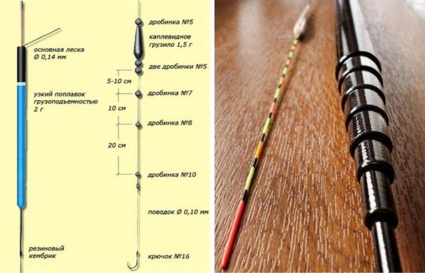 Оснастка болонской удочки для начинающих. монтаж снасти