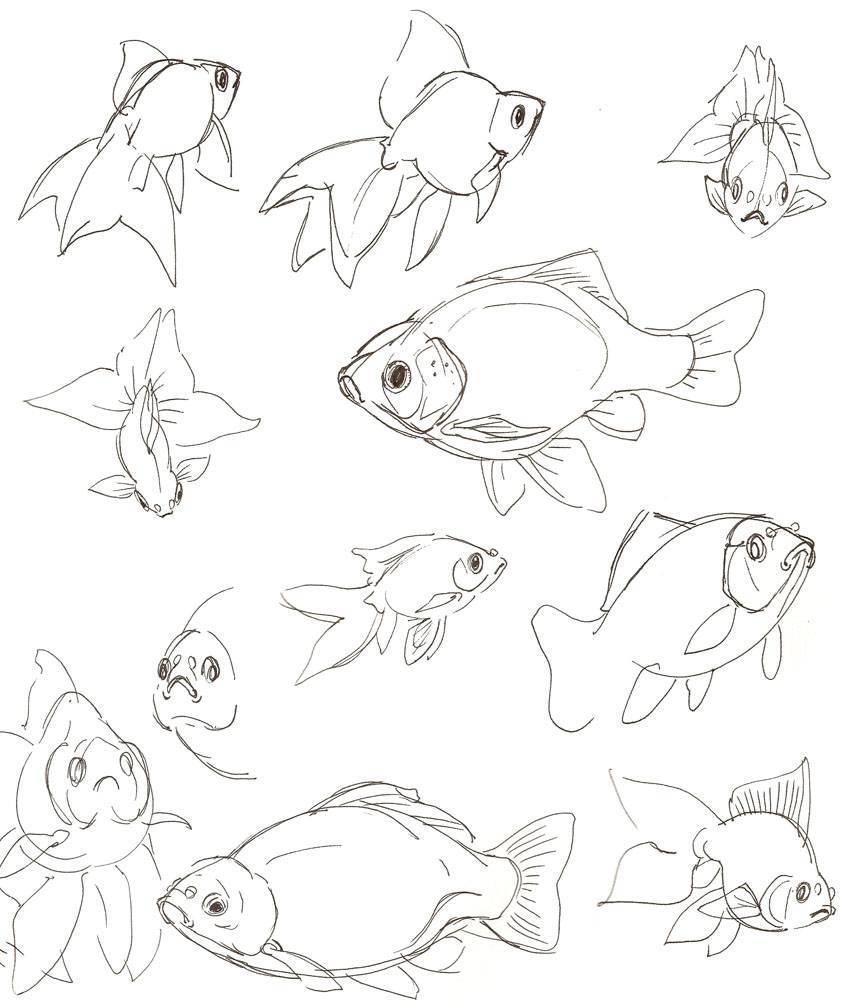 Нарисовать рыбку картинки. Рыба с разных ракурсов. Рыбка карандашом. Зарисовки рыб. Рыбка рисунок карандашом.