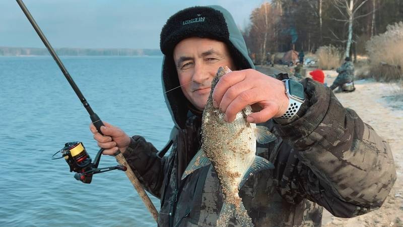 Несколько щучьих особенностей, или как хищница реагирует на погоду