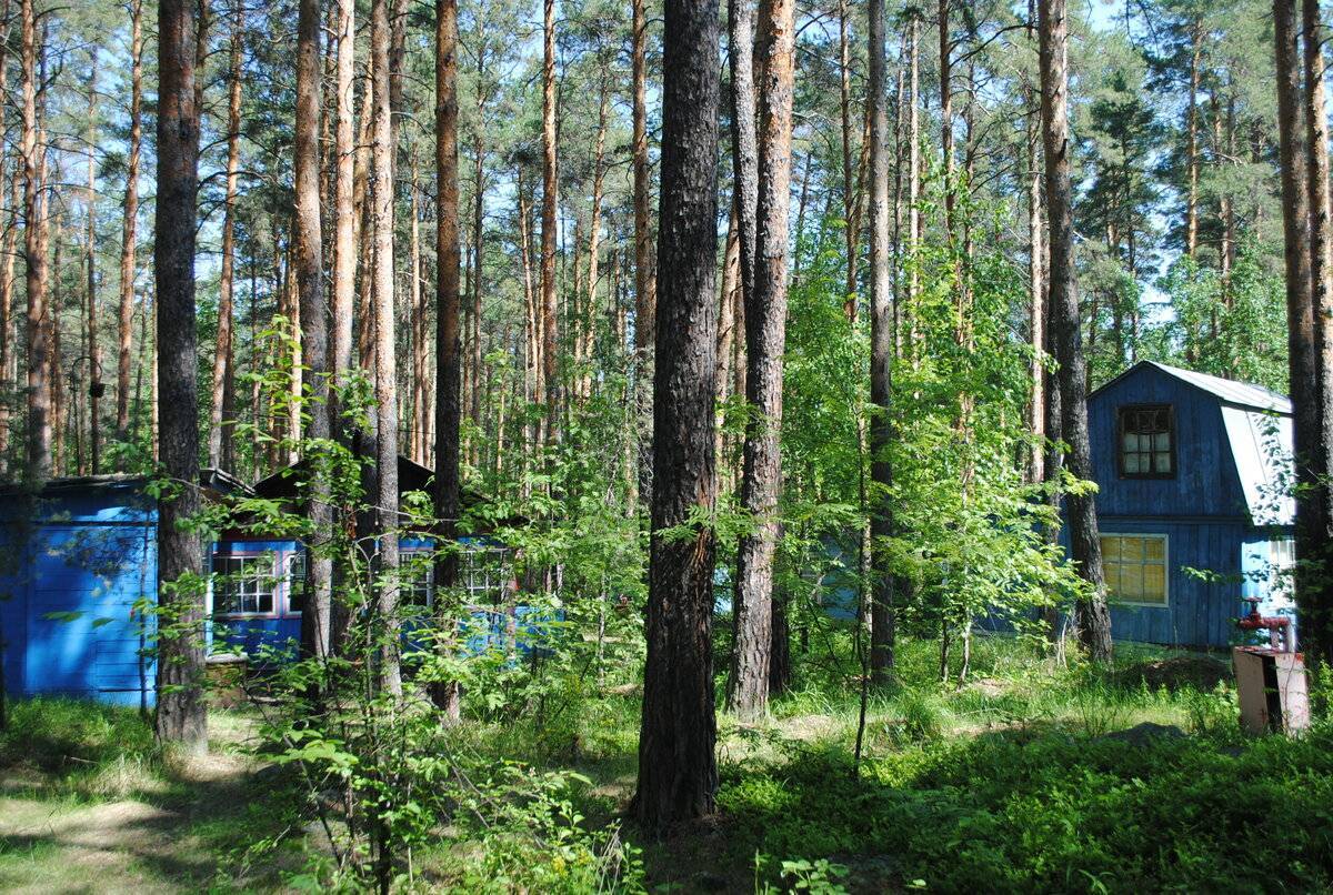 Озеро аракуль