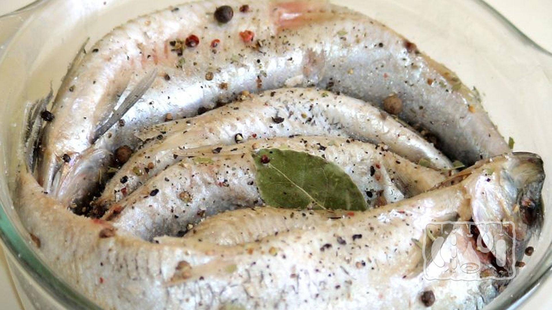 Горбуша малосольная под семгу. быстро и вкусно солим красную рыбу в домашних условиях