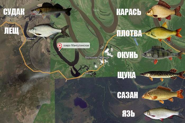 Топ-10 клевых мест для рыбалки в башкирии